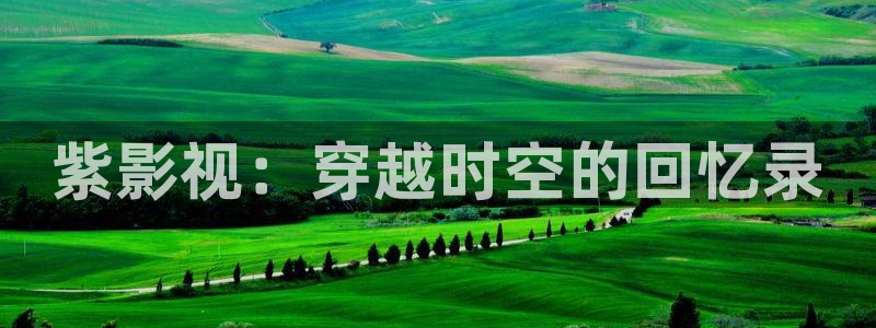 飘雪影院在线观看免费完整版：紫影视：穿越时空的回忆录