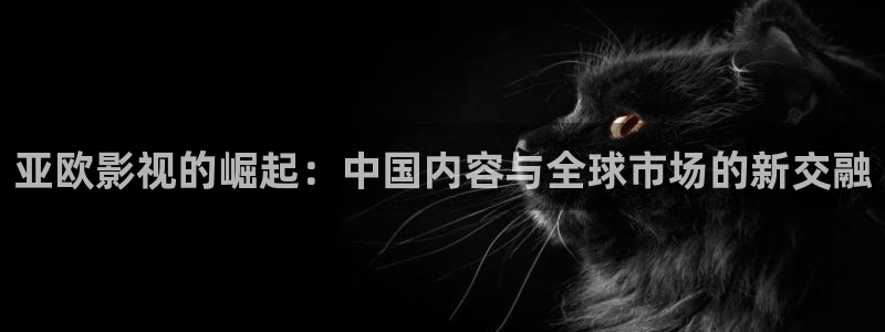 飘雪影院免费版在线观看：亚欧影视的崛起：中国内容与全球市场的新交融