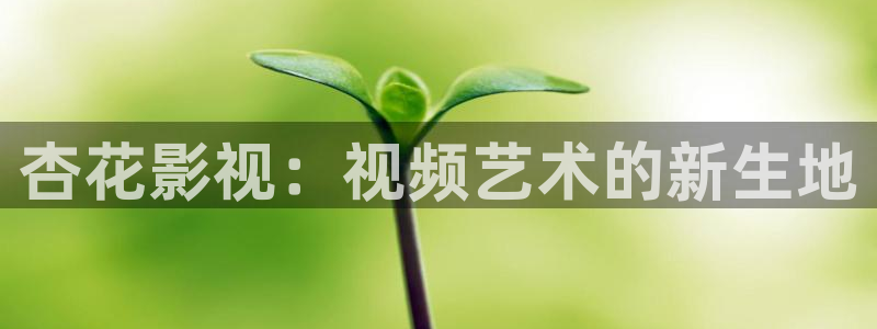 飘雪影院免费观看电视剧电影网：杏花影视：视频艺术的新生地