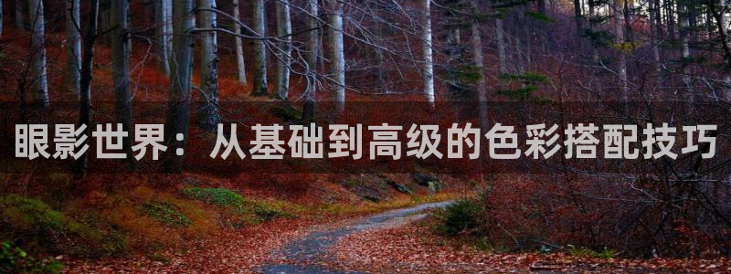 飘雪影院观看免费完整版高清电影：眼影世界：从基础到高级的色彩搭配技巧