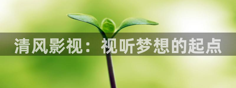 飘雪影院动漫全集免费观看：清风影视：视听梦想的起点