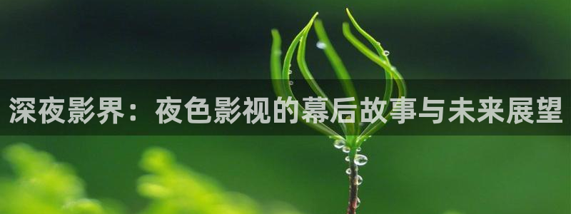 飘雪影视在线观看免费完整：深夜影界：夜色影视的幕后故事与未来展望