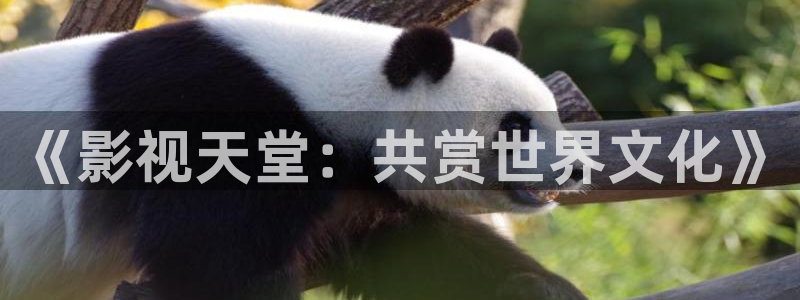 飘雪影院免费完整版：《影视天堂：共赏世界文化》