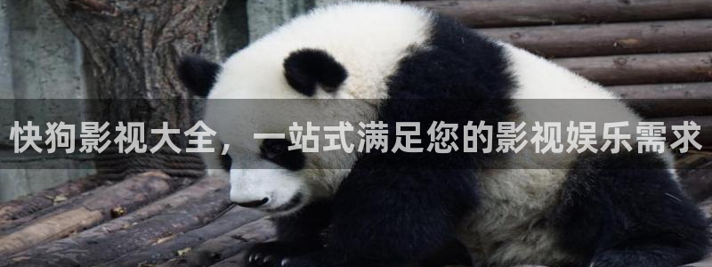 飘雪影视在线免费观看：快狗影视大全，一站式满足您的影视娱乐需求