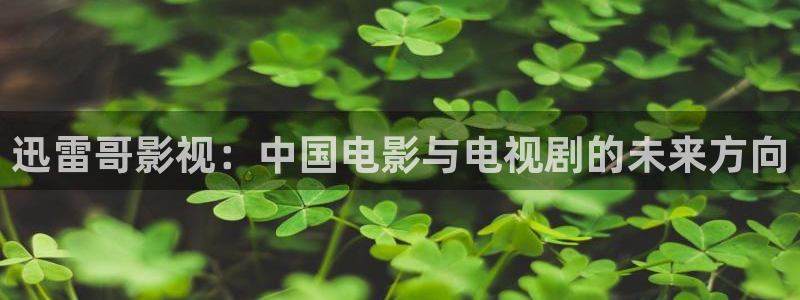 飘雪影院在线免费观看：迅雷哥影视：中国电影与电视剧的未来方向